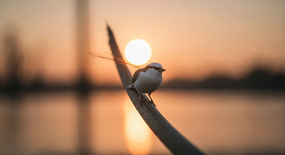 Una balanza que equilibra la confianza y los símbolos publicitarios.