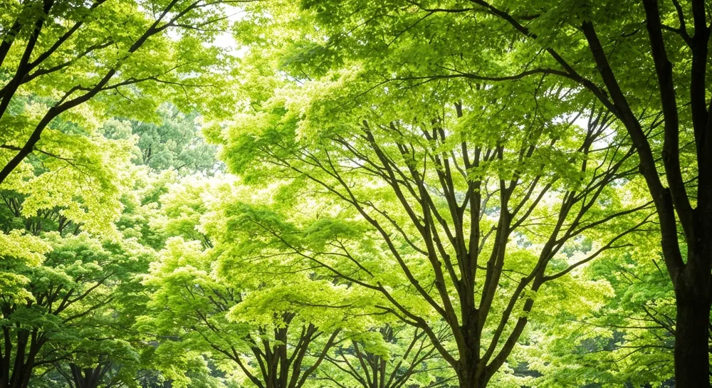 Rayos de energía solar que funden acero en un horno.