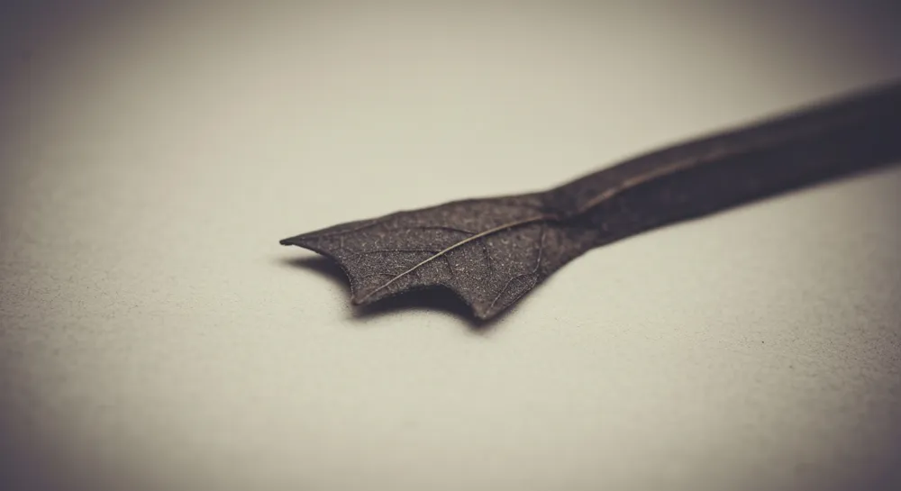 Una bacteria E. coli estilizada entrelazada con formas plásticas.