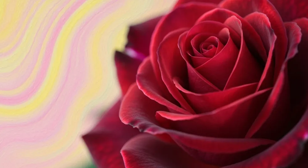 A welcoming open door with school supplies and banners.