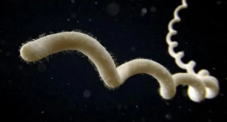 Fiebre tras mojarse: ¿es la humedad la causa?