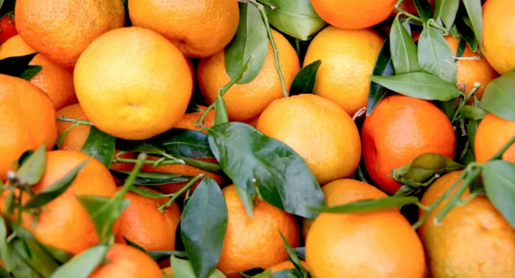 Why do sugar oranges cause heat in the body? Explore the reasons