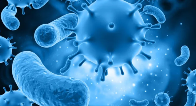 Zika virus danger: How semen spreads this invisible killer