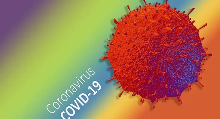 Understanding the Novel Coronavirus: Key Insights on the Pandemic