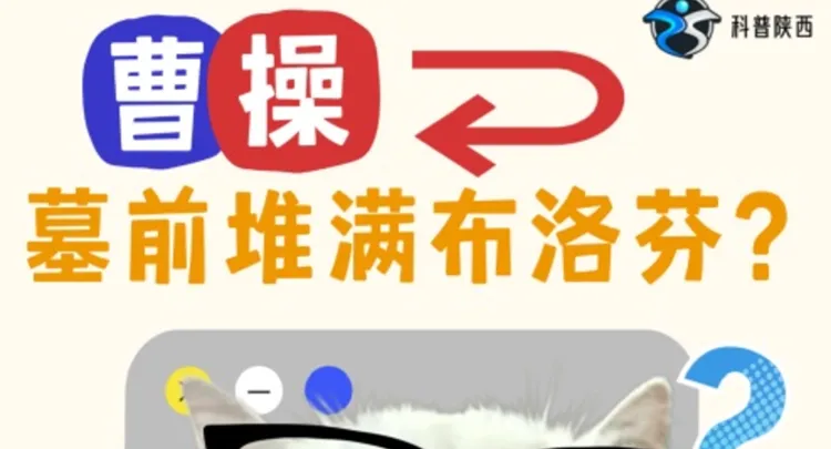 Cao Cao's tomb site sparked ibuprofen meme risks to know