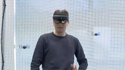 Científicos holandeses exploran el papel crucial de los insectos