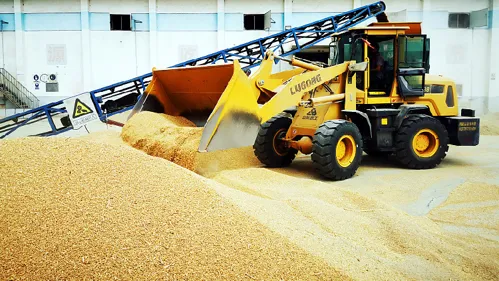 Récolte estivale de céréales en Chine exceptionnelle en 2024