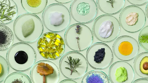 Neue pflanzliche Inhaltsstoffe für nachhaltige Kosmetik entdeckt