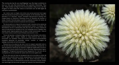 Eine Karte von Lianyungang mit Pfeilen zum Migrationsfluss.