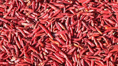 Chinese Scientists Create Artificial Tongue to Measure Spiciness