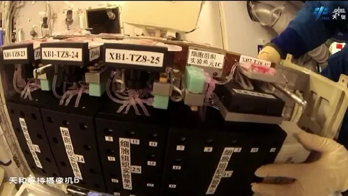 Reentrada de la nave de carga Tianzhou-8 de China en la atmósfera