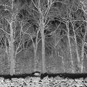 Albumkritik: "Sunshine and Balance Beams" – Emotionale Musik