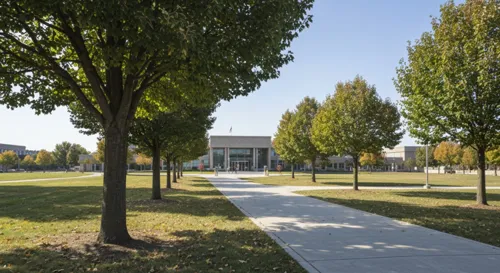 Richtlinien skizzieren Wege für globale Wissenschaftler.