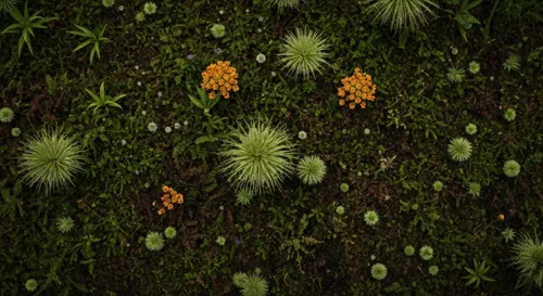 Las oportunidades de becas se destacan en un entorno formal.