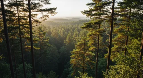 A serene French landscape featuring iconic architecture, symbolizing safety and exploration.