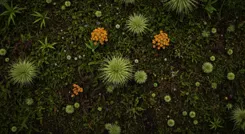 Las oportunidades de becas se destacan en un entorno formal.